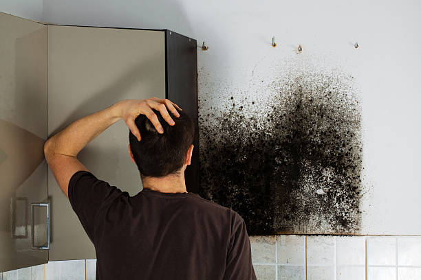 Crawl Space Mold Removal in Whitney, SC